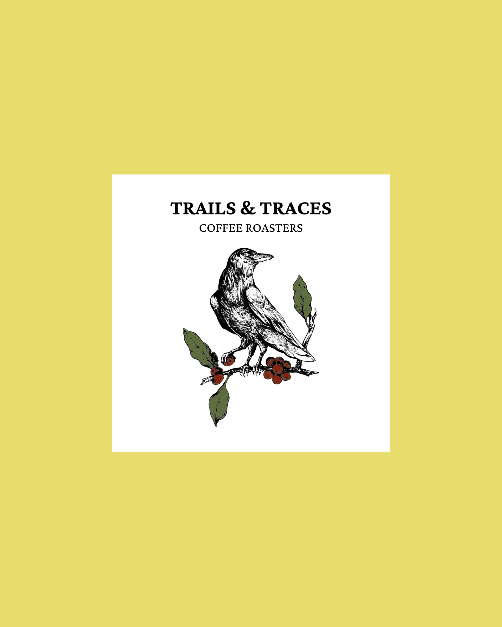 trails&traces coffee roasters logo